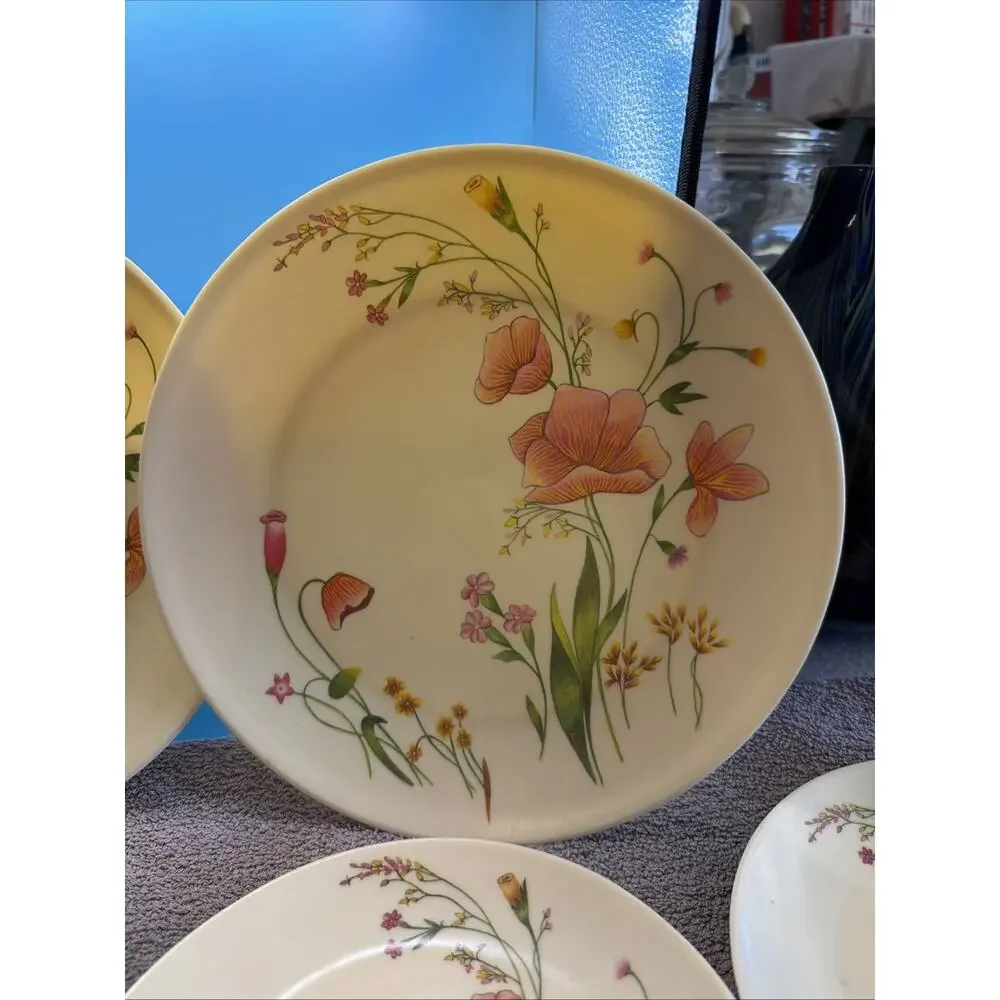 Delite vintage melamine